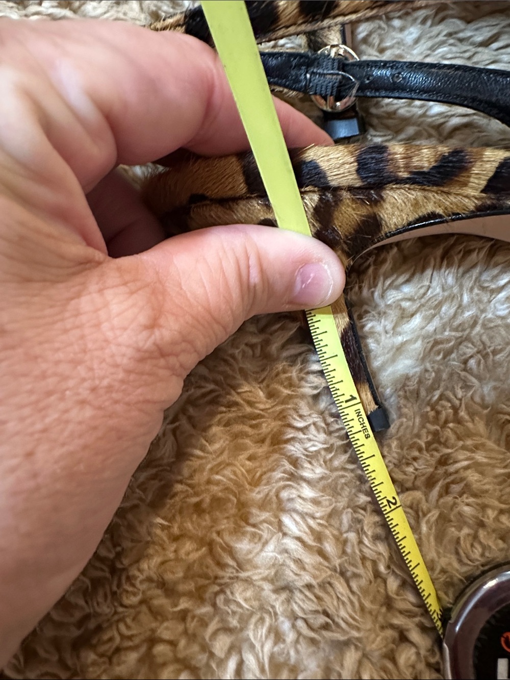 J. Crew Leopard-Print Pointed Toe Slingback Flats - Tan/Black - Picture 7 of 10